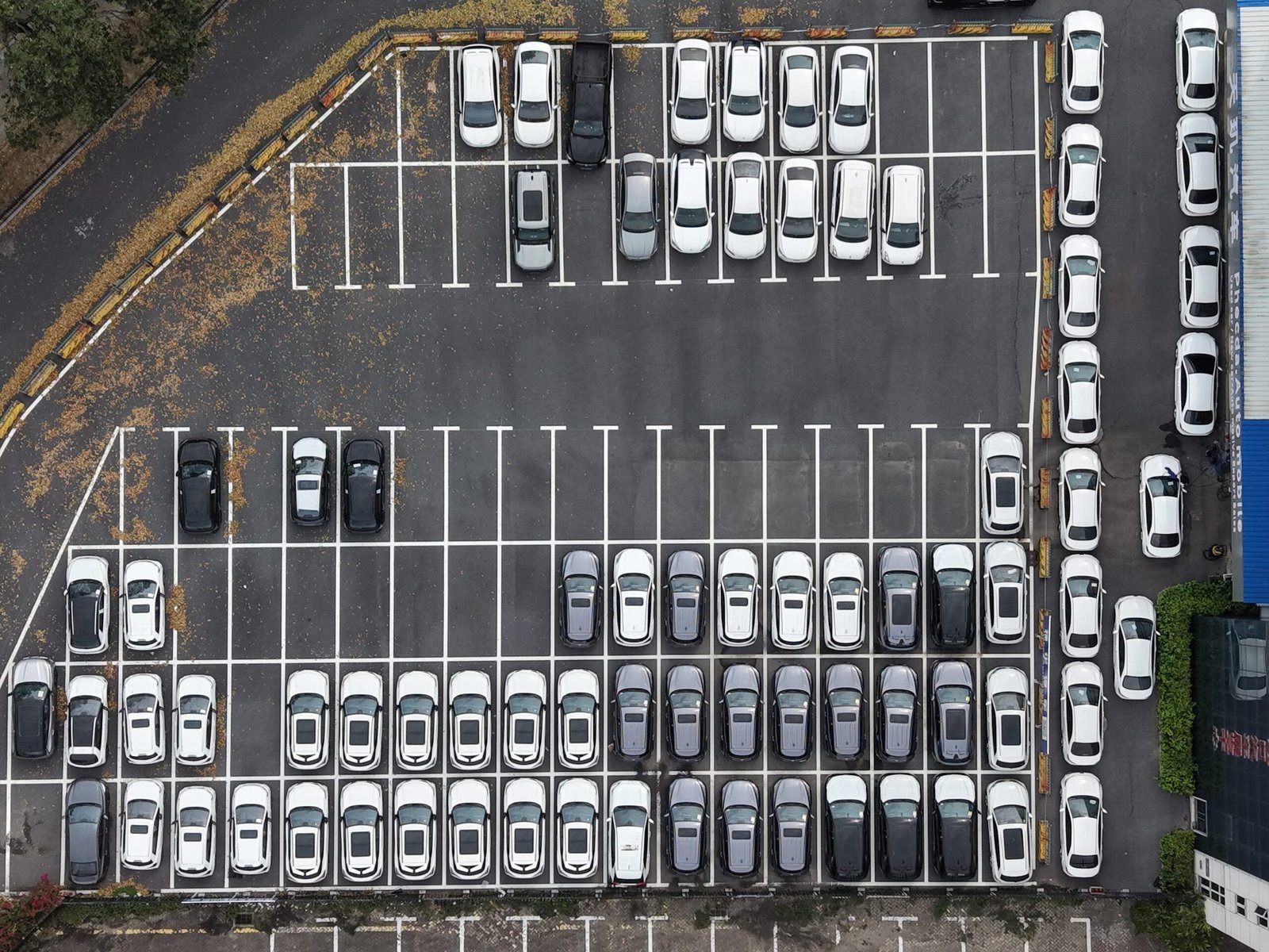 Rayda Auto China Vehicle Export Platform