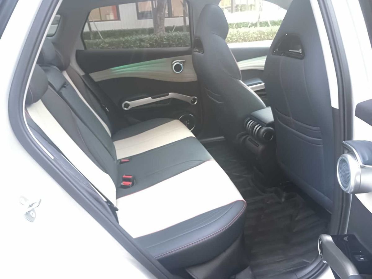 2022 BYD Yuan Plus 510KM Used Car gallery