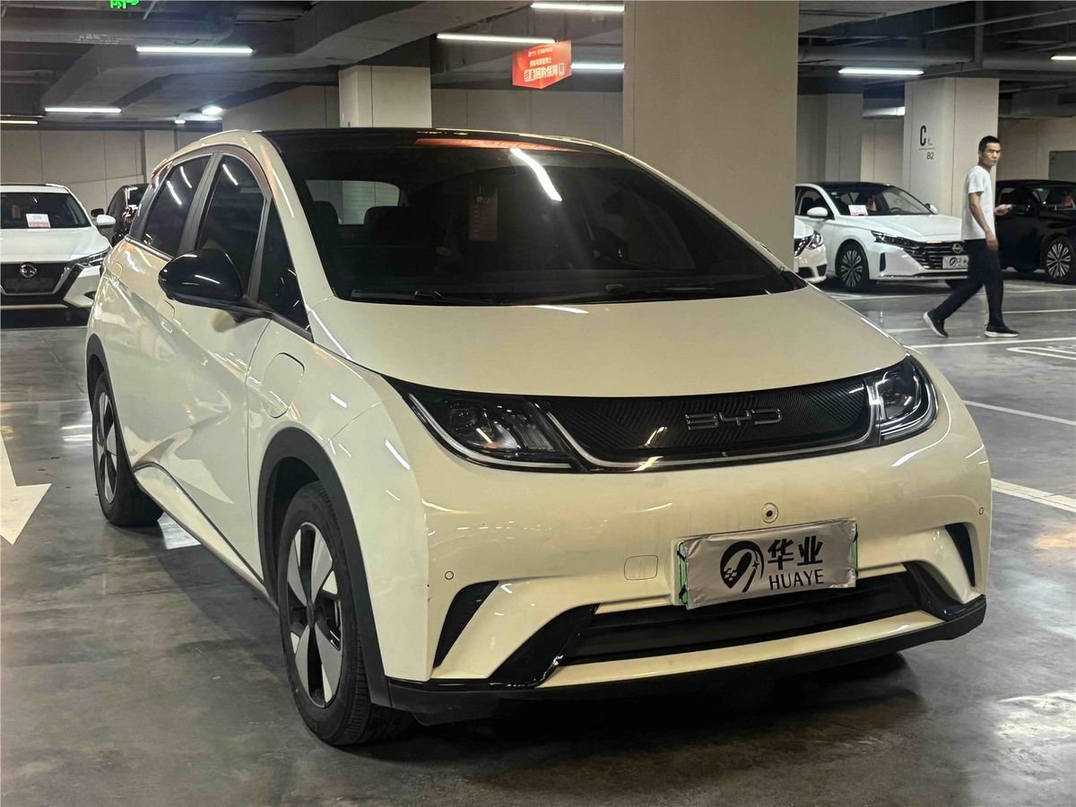2023 BYD Dolphin 420km Used Car gallery